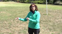 Physical Education: Importance of Encouraging Physical Activity with Your Children