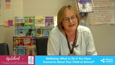 Wellbeing: What to Do If You Have Concerns About Your Child at School?